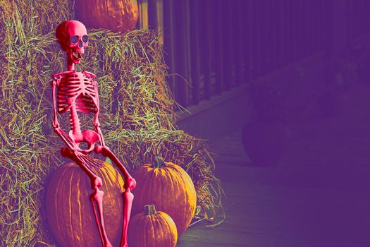 the night of October 31, the eve of All Saints' Day, commonly celebrated by children who dress in costume. Red pink Halloween skeleton on dark room and orange pumpkins, place for text