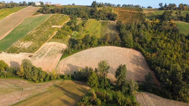 aerial view sunrise hills wine farms italy in Baccedasco PC