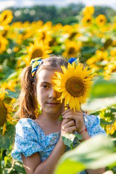 A child in a field of sunflowers. Ukraine. Selective focus. Nature.