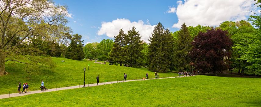 New York, USA - May 15, 2019: Central park at a sunny day in Manhattan, New York City, USA