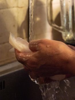cleaning a raw adriatic cuttlefish at home in Numana, Marche, Italy