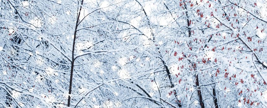 Snowing landscape, greeting card design and New Years Eve travel concept - Winter holiday background, nature scenery with shiny snow and cold weather in forest at Christmas time