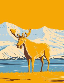 WPA poster art of an adult male moose or elk in Denali National Park and Preserve or Mount McKinley in Alaska United States USA done in works project administration style or federal art project style.
