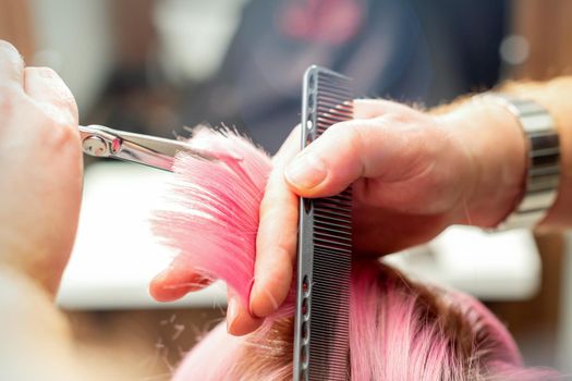 Woman having a new haircut. Male hairstylist cutting pink hair with scissors in a hair salon, close up