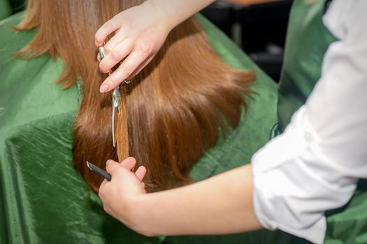 Hands of hairdresser cut woman long hair, close up