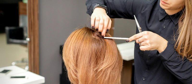 Hairdresser prepares long hair of a young woman to procedures in a beauty salon