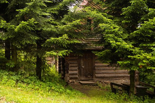 wooden house in the forest.