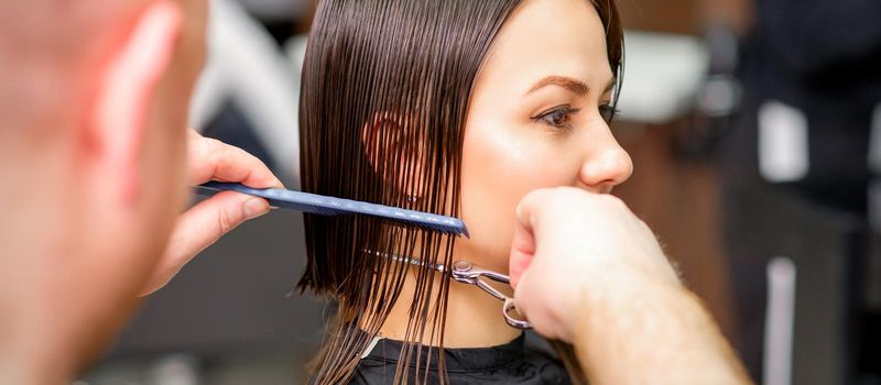 Hairdresser cuts wet hair of young caucasian woman combing with a comb in a hair salon