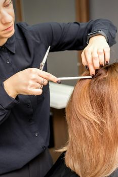 Hairdresser prepares long hair of a young woman to procedures in a beauty salon