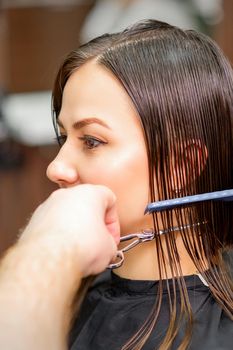 Hairdresser cuts wet hair of young caucasian woman combing with a comb in a hair salon