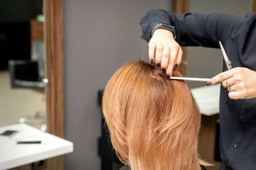 Hairdresser prepares long hair of a young woman to procedures in a beauty salon