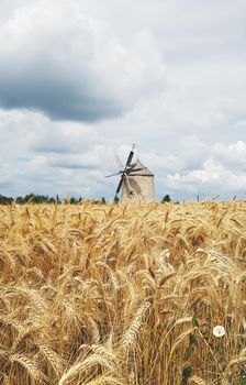 old windmill sitting beyond the wheat field with a cloudy sky. High quality photo