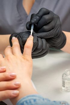 Painting female nails. Hands of manicurist in black gloves is applying transparent nail polish on female nails in a manicure salon