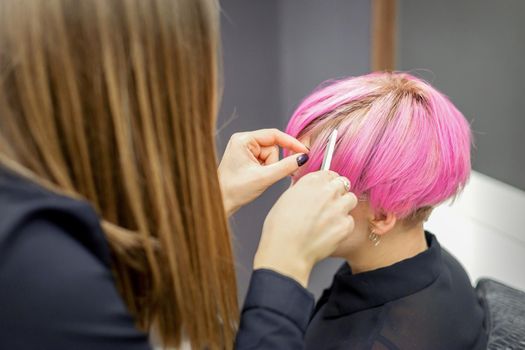 Hairdresser prepares dyed short pink hair of a young woman to procedures in a beauty salon