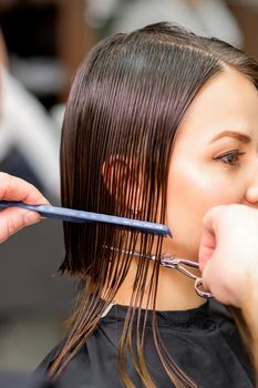 Hairdresser cuts wet hair of young caucasian woman combing with a comb in a hair salon