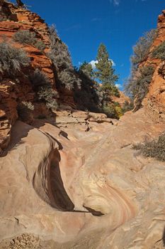 Dry wash on Zion Park Boulevard near Springdale. Utah