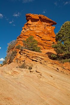 Zion National Park Landscape from Zion Park Boulevard near Springdale. Utah