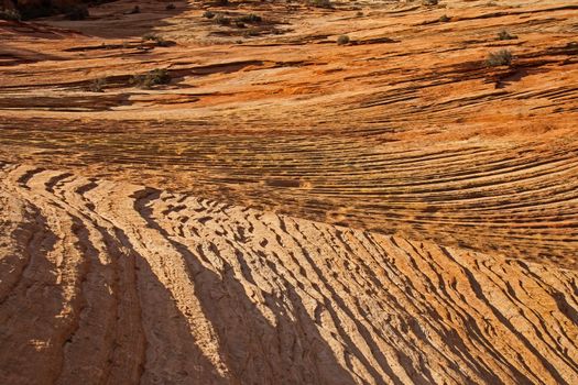 Sandstone rock formations with strong cross bedding patterns along Zion Boulevard in Zion National Park. Utah