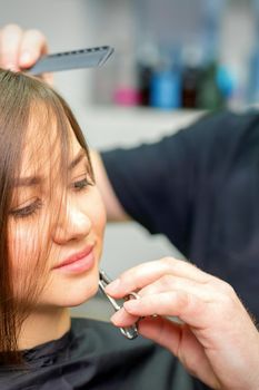 The hairdresser cuts the hair of a brunette woman. Hairstylist is cutting the hair of female client in a professional hair salon, close up