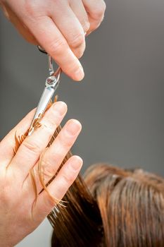 The hairdresser cuts the hair of a brunette woman. Hairstylist is cutting the hair of female client in a professional hair salon, close up