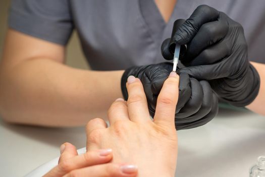 Painting female nails. Hands of manicurist in black gloves is applying transparent nail polish on female nails in a manicure salon