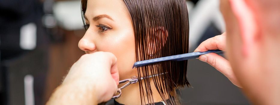 Hairdresser cuts wet hair of young caucasian woman combing with a comb in a hair salon