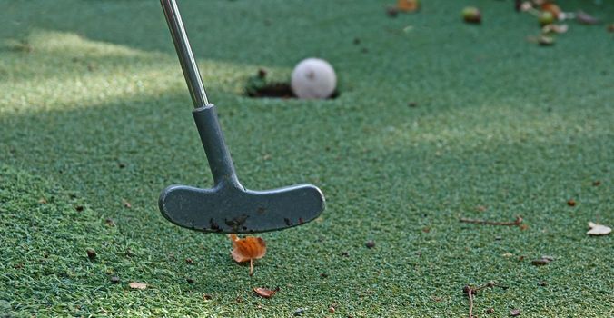 The club just hit the ball during a mini golf game. The ball rolls into the hole