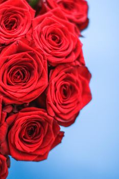 Blooming rose, flower blossom and Valentines Day present concept - Luxury bouquet of red roses on blue background, flowers as a holiday gift