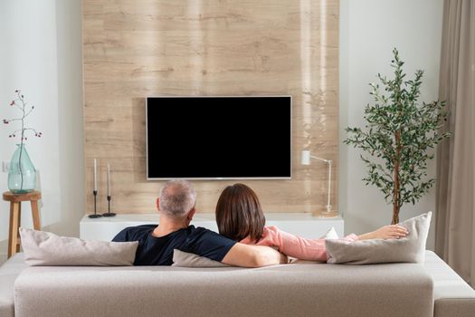 modern living room partners in front of the TV.