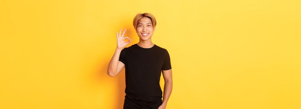 Portrait of satisfied and happy asian smiling guy, showing okay gesture in approval, praising good work, yellow background.