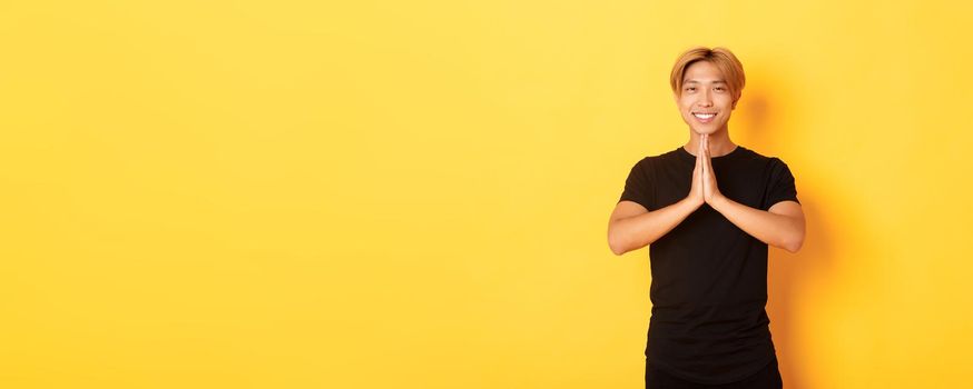 Portrait of thankful smiling asian blond guy holding hands together in pray, standing yellow background.