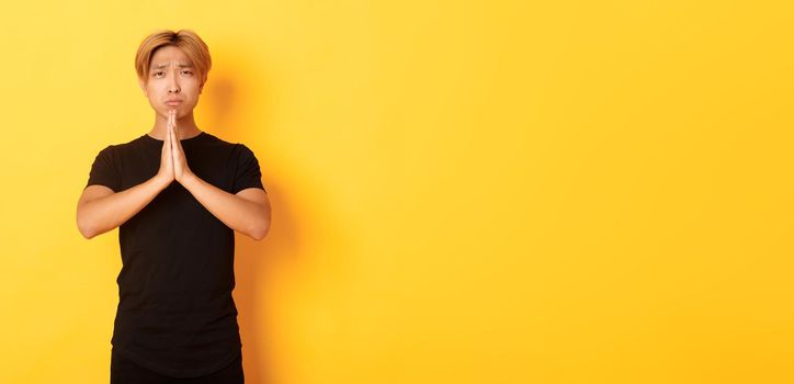 Portrait of miserable asian guy pleading, begging for help, standing over yellow background.