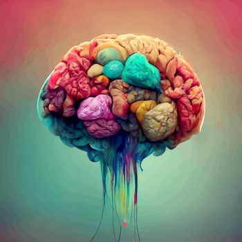 Colorful illustration of the human brain. detailed 2d illustration of the human brain, parts of the brain.