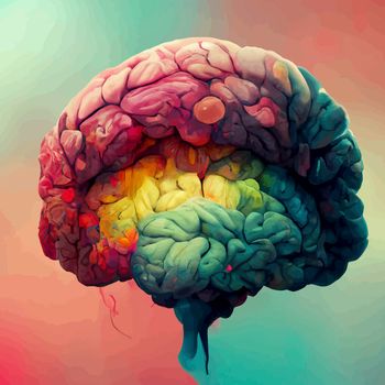 Colorful illustration of the human brain. detailed 2d illustration of the human brain, parts of the brain.