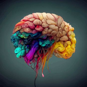 Colorful illustration of the human brain. detailed 2d illustration of the human brain, parts of the brain.