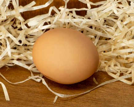 brown egg on a wooden table on a background of paper shavings. High quality photo