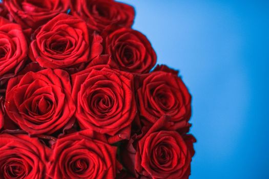 Blooming rose, flower blossom and Valentines Day present concept - Luxury bouquet of red roses on blue background, flowers as a holiday gift