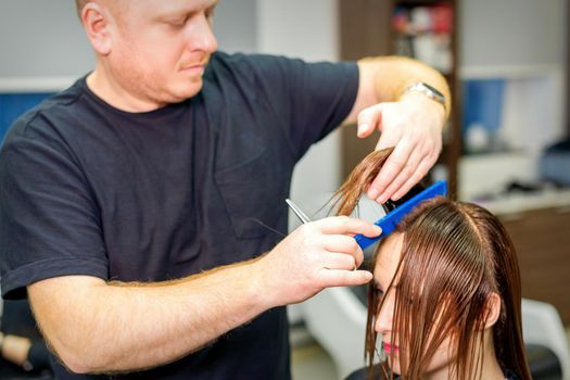 The hairdresser cuts the hair of a brunette woman. Hairstylist is cutting the hair of female client in a professional hair salon, close up