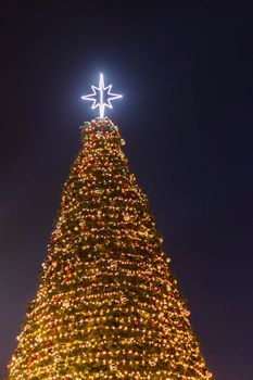 Shot of a Christmas tree illuminated with decorations.