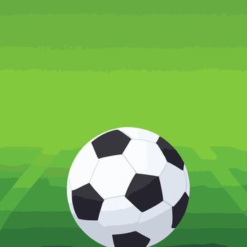 illustration of soccer ball on the field.