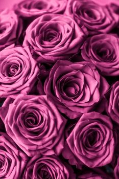 Blooming rose, flower blossom and Valentines Day gift concept - Luxury bouquet of purple roses, flowers in bloom as floral holiday background