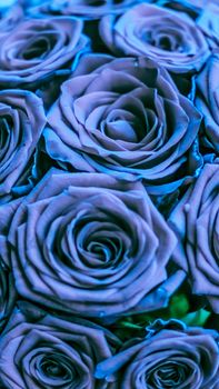 Blooming rose, flower blossom and Valentines Day gift concept - Glamour luxury bouquet of blue roses, flowers in bloom as floral holiday background