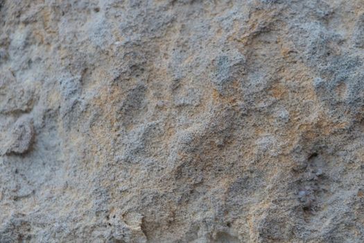 Background from a stone, texture of a rock or natural fossil