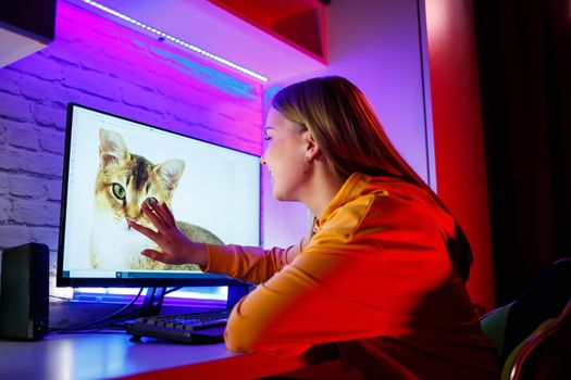 Girl freelancer looks on a computer screen at a cat. Sitting in an apartment at a computer desk