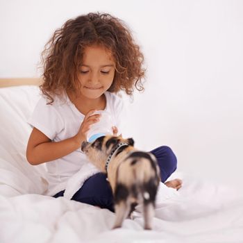 Hes the best piggy in the whole wide world. A cute little girl sitting on her bed and feeding her pet piglet