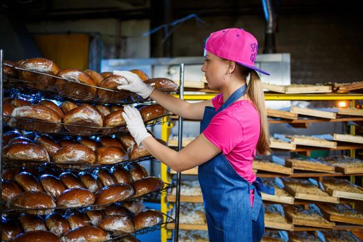 A female baker is at the workplace at the bakery. A professional baker holds bread in his hands. Bread production concept