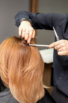 Hairdresser prepares long hair of a young woman to procedures in a beauty salon