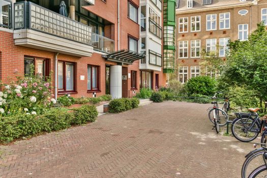 View of street near building with beauty of vegetation outside