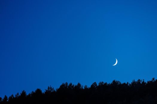 thin crescent moon in the blue sky of the twilight before night, it's next to the silhouette of the mountain trees