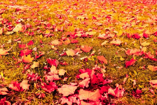 Seasonal travel, retro backdrop and rural environment concept - Beautiful autumn landscape background, vintage nature scene in fall season